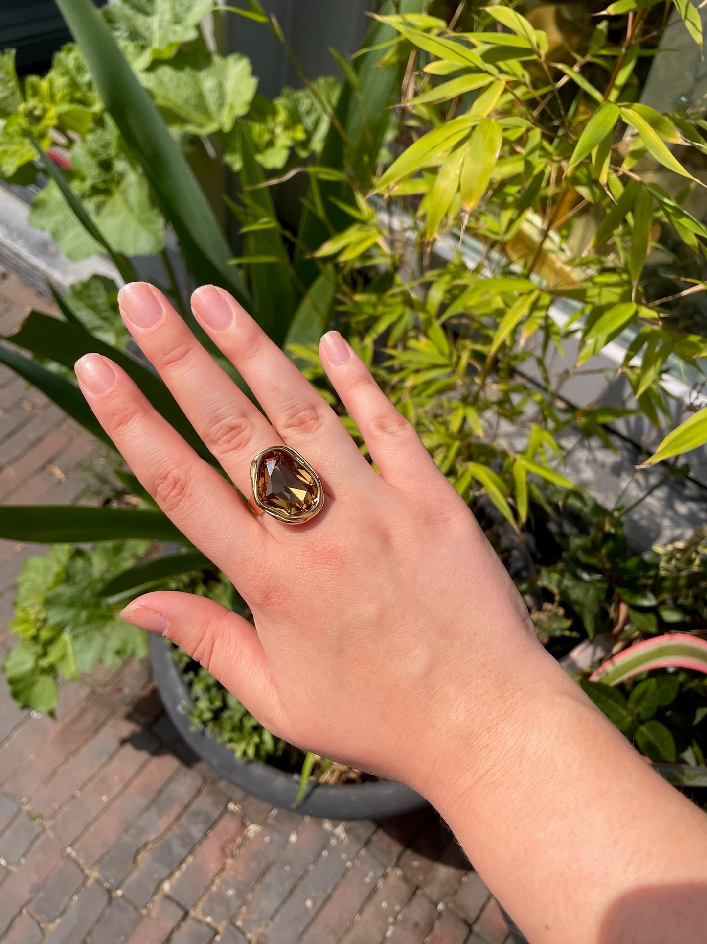 Ring Nova