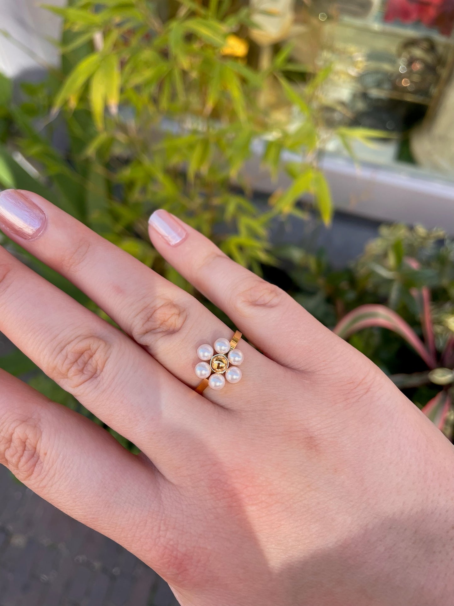 Ring Flora