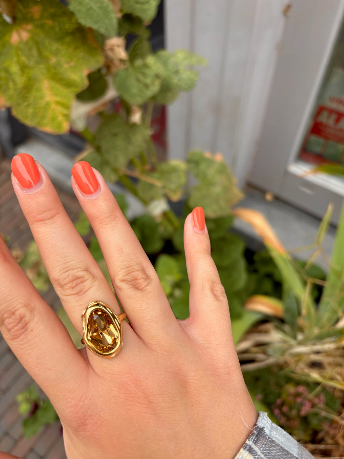 Ring Baby Nova