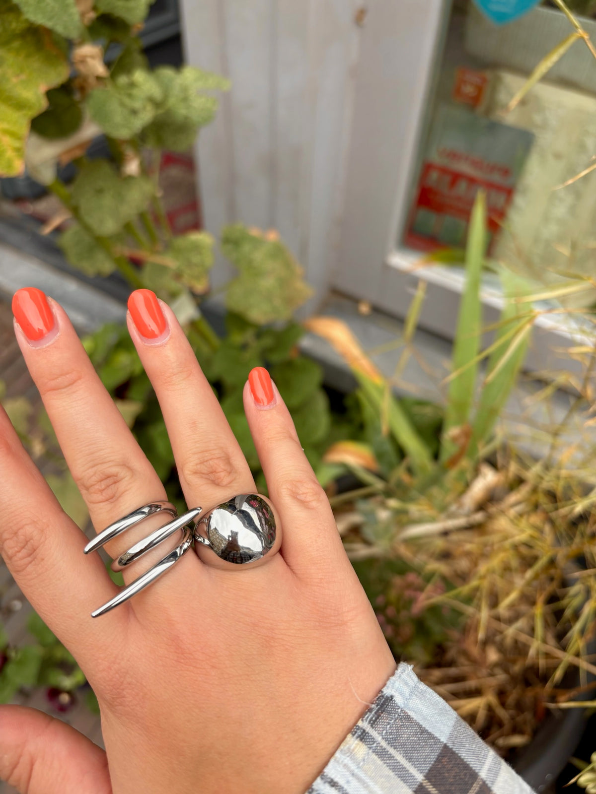 Ring Frankie