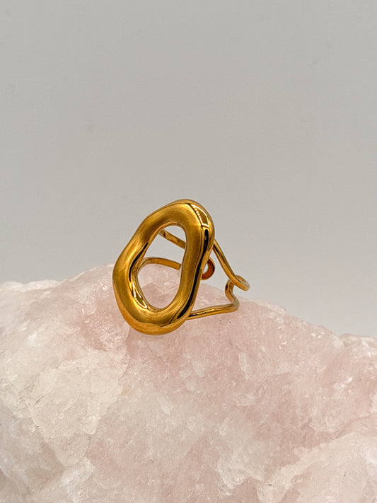 Ring Organic Mini