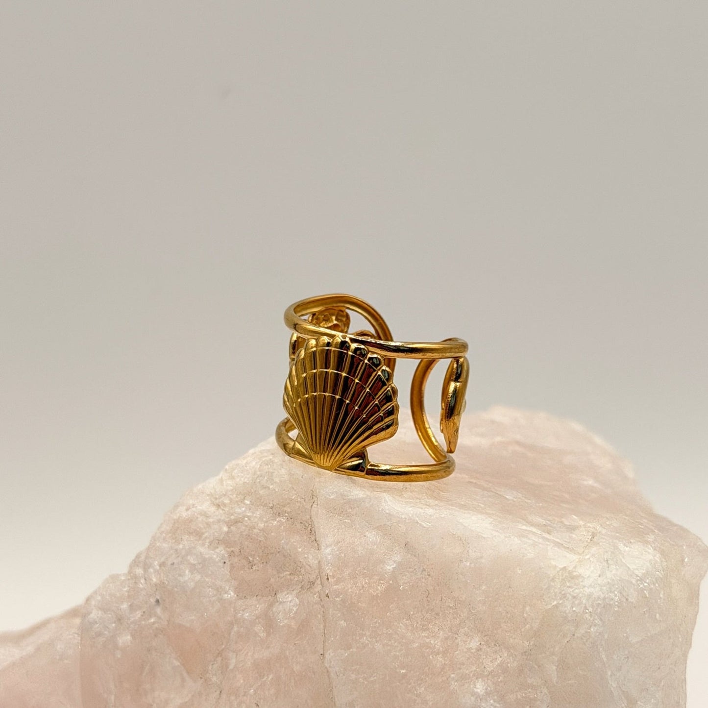 Ring Shell