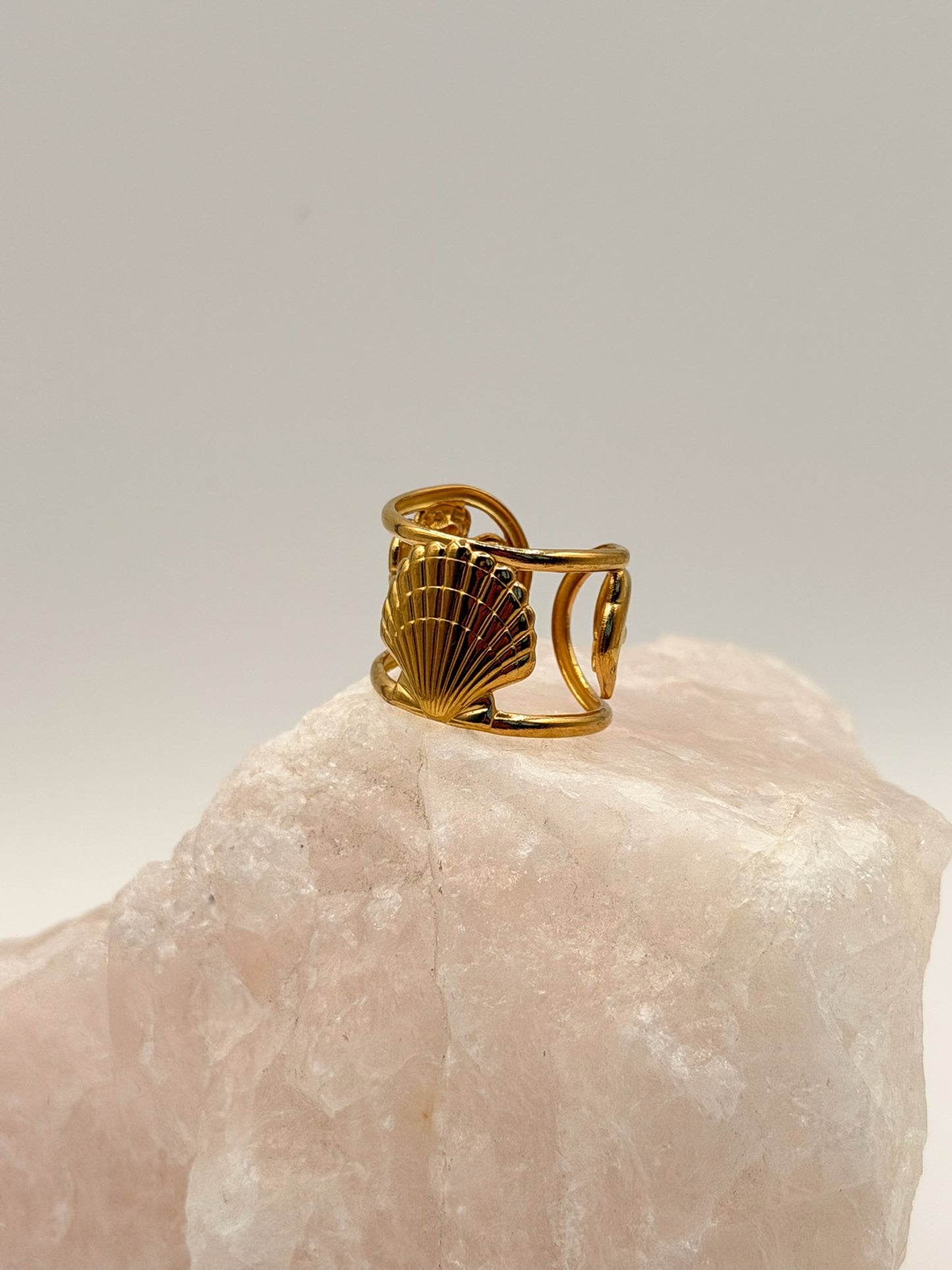 Ring Shell