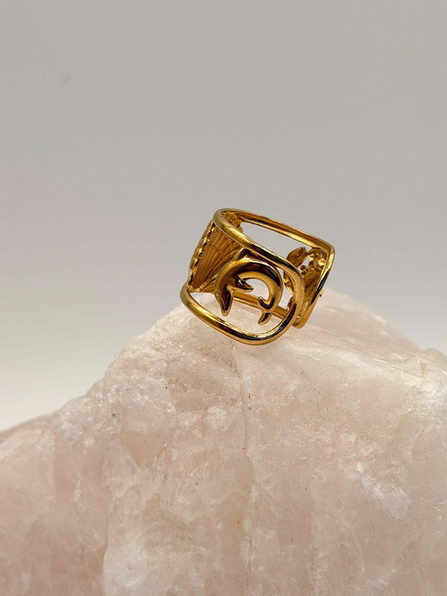 Ring Shell