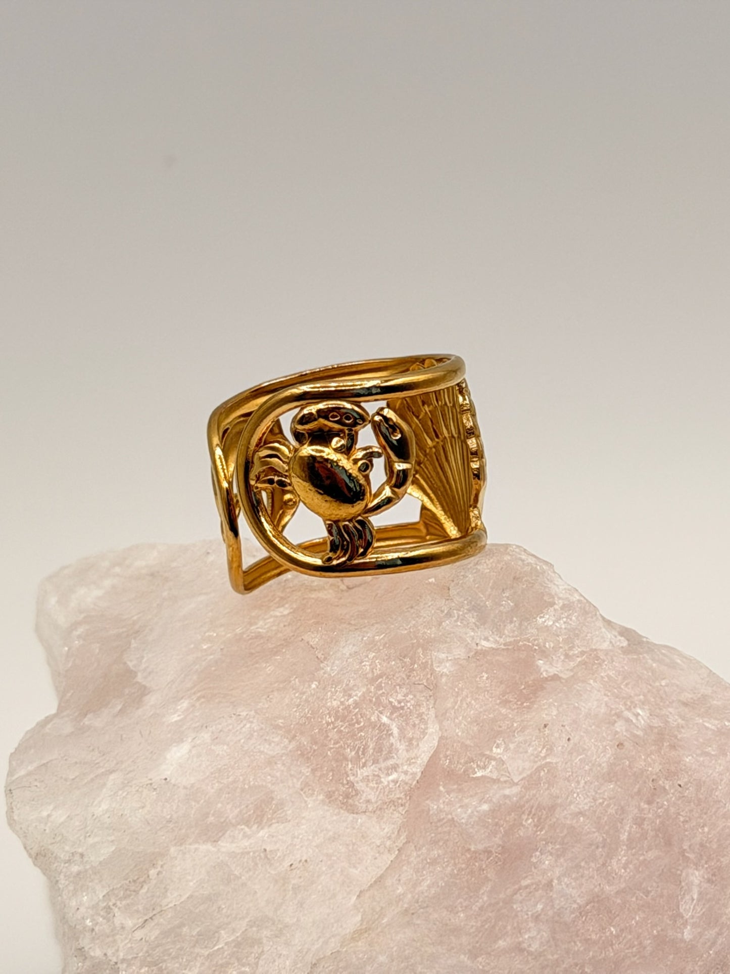 Ring Shell