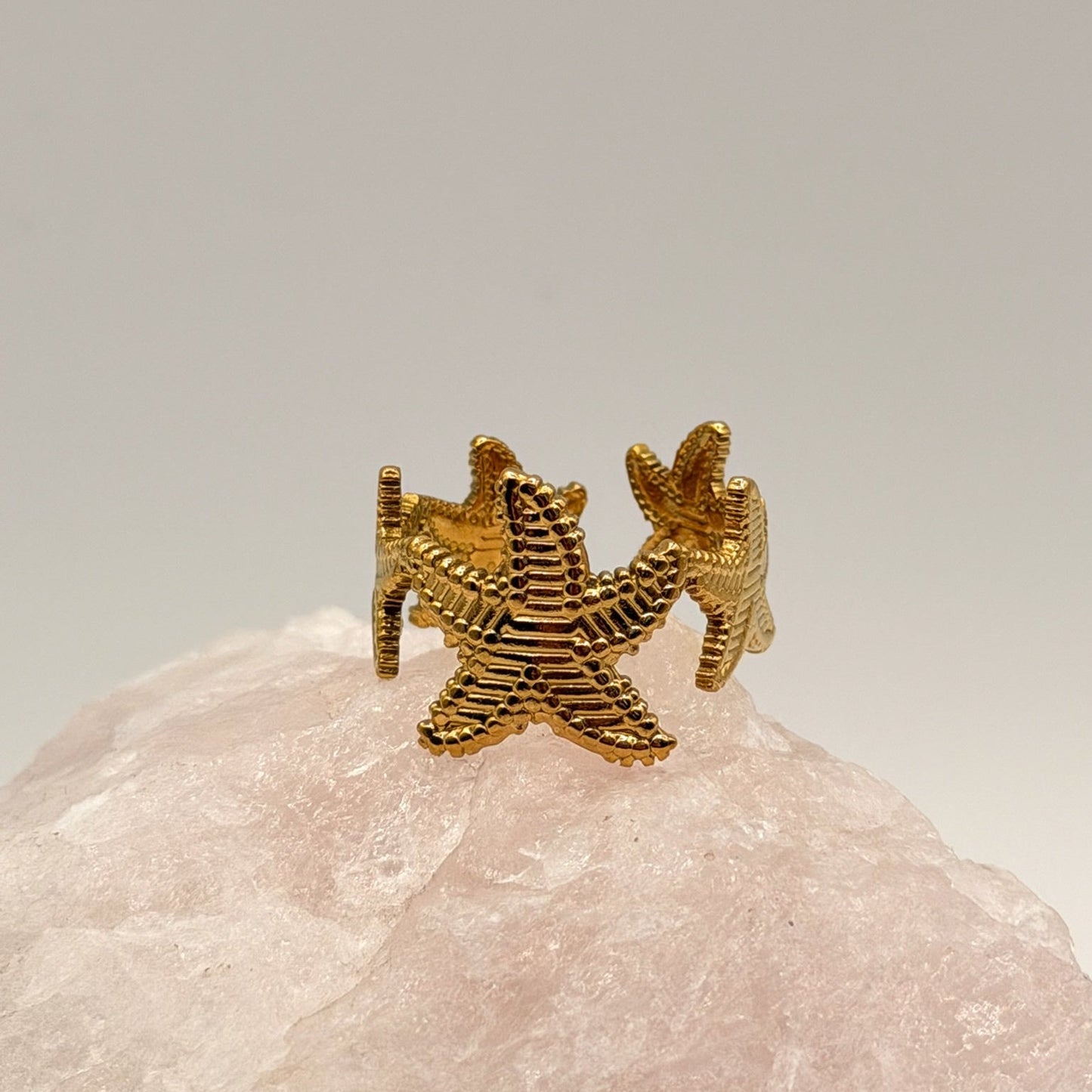 Ring Starfish