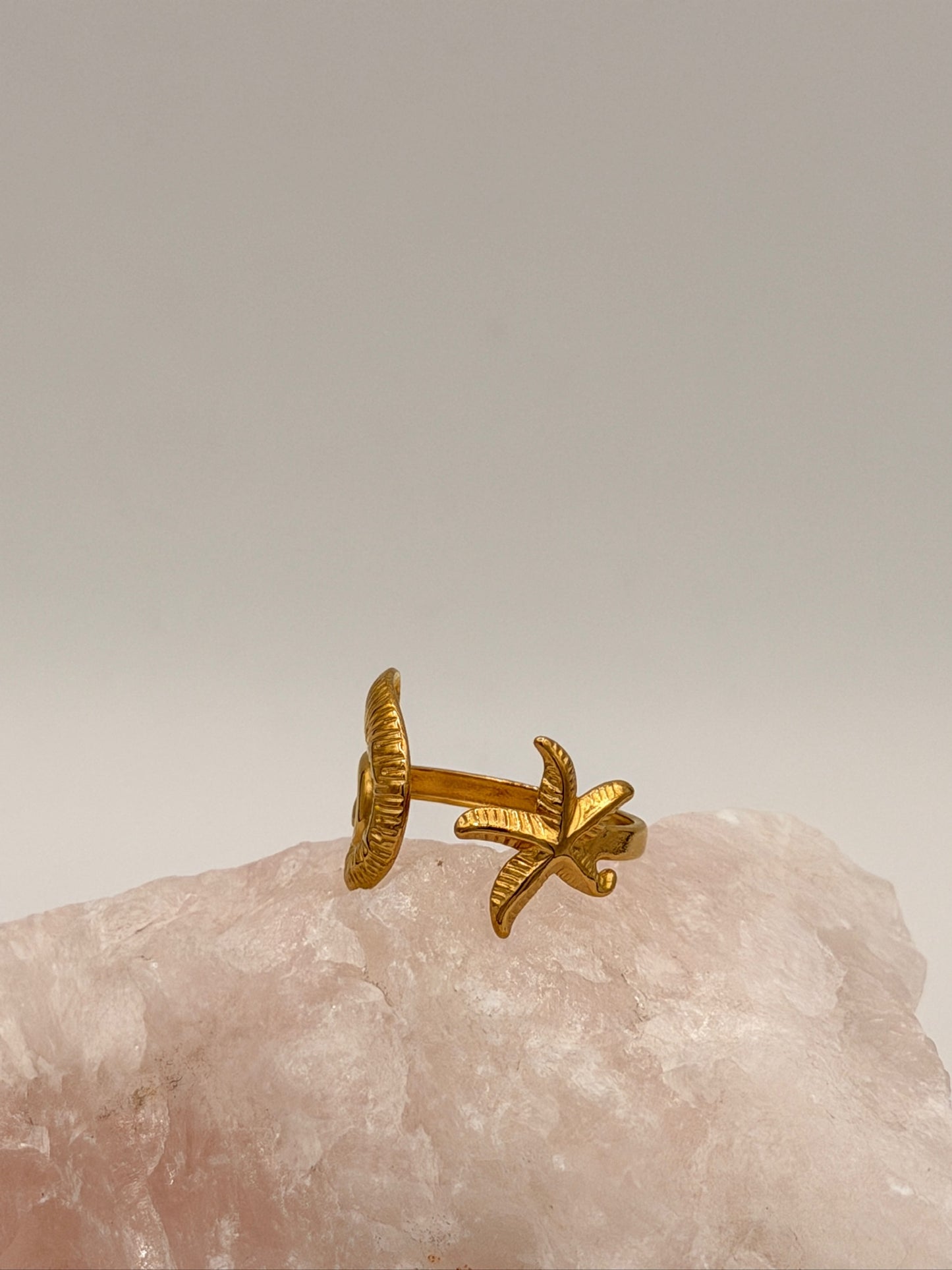 Ring Starfish II