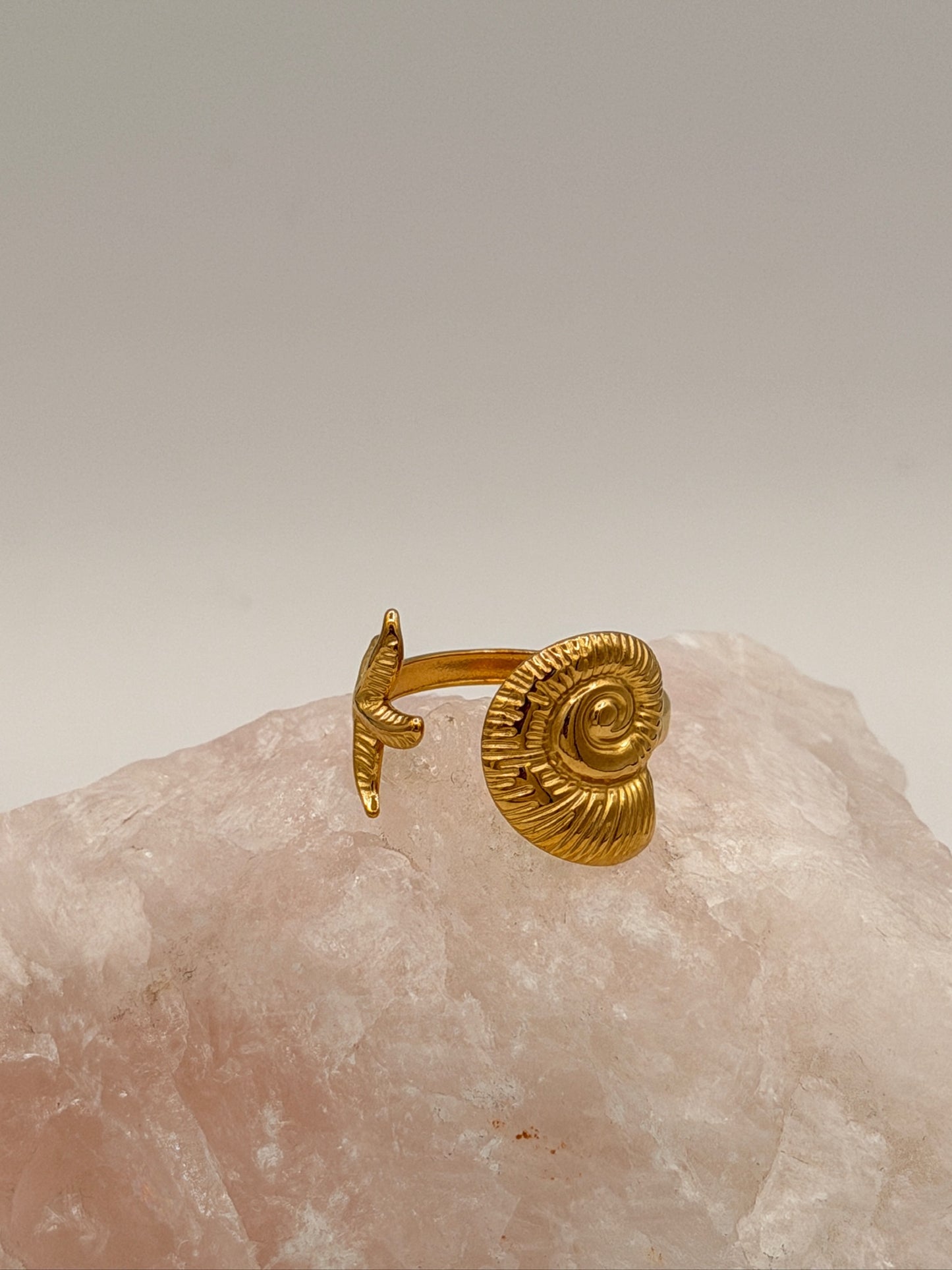 Ring Starfish II