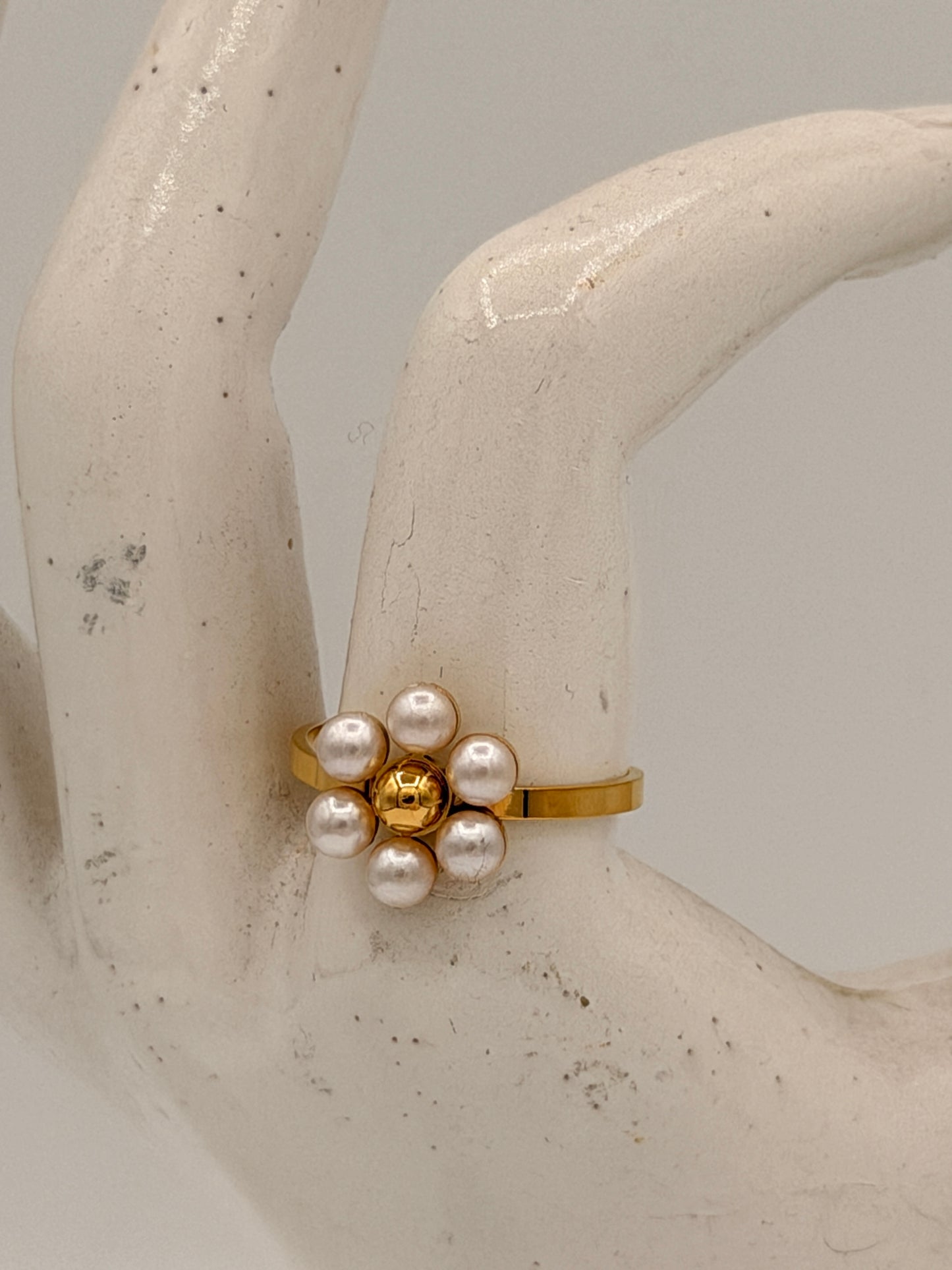 Ring Flora
